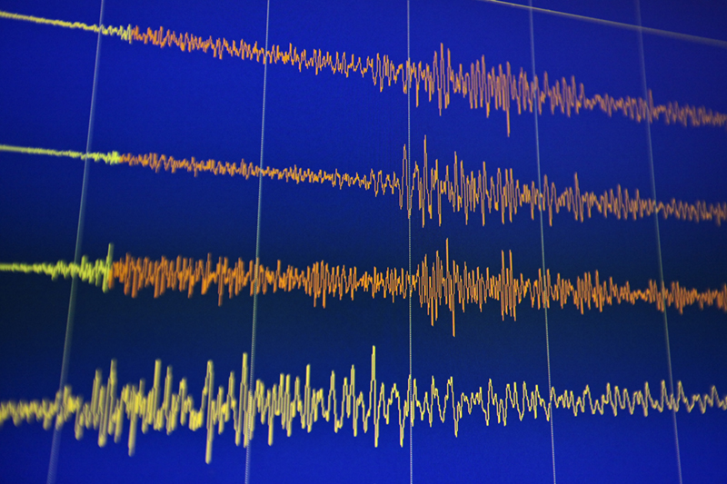 Registrazione terremoto